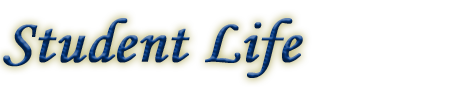 ミッション
