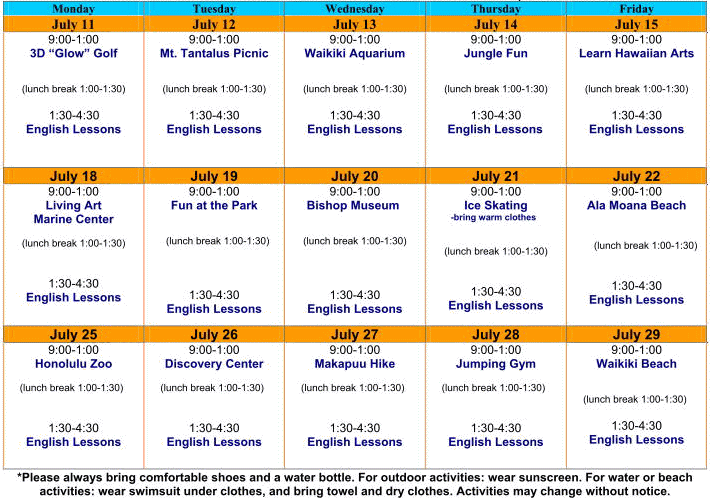 IIE Summer Program schedule sample